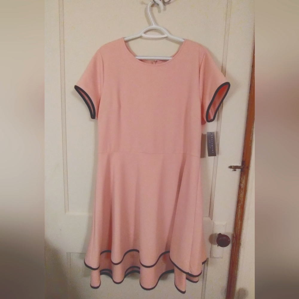 Sharagano New York NWT, Women's Size 14 Muted Blush/Black Ruffled Hem Dress